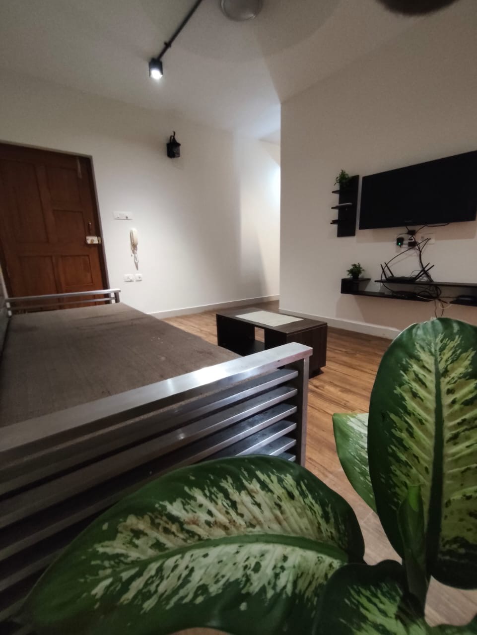 Living room corner with leafy indoor plants and entry door